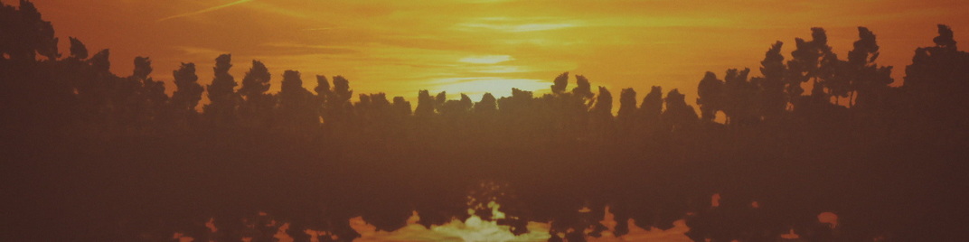 Sunset_Reflections_Trees_MS_1920x480.jpg