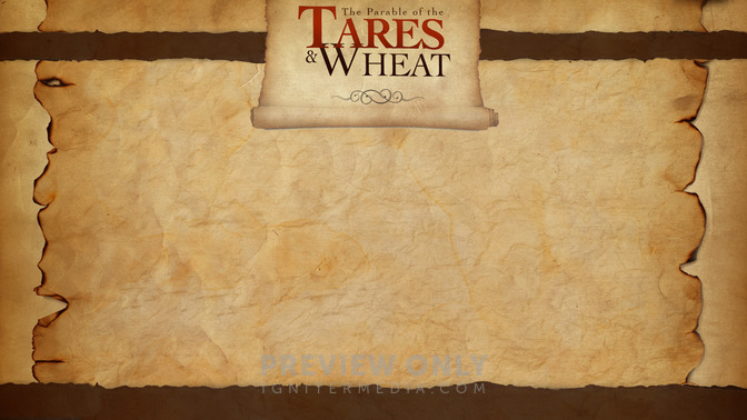 The_Parable_of_the_Tares__Wheat_16x9-CONTENT-2#preset=tg_alt2.jpg
