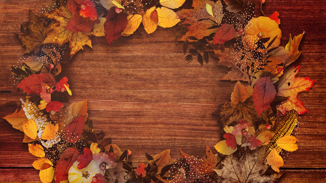 Harvest-WIDE#preset=tg_title3.jpg