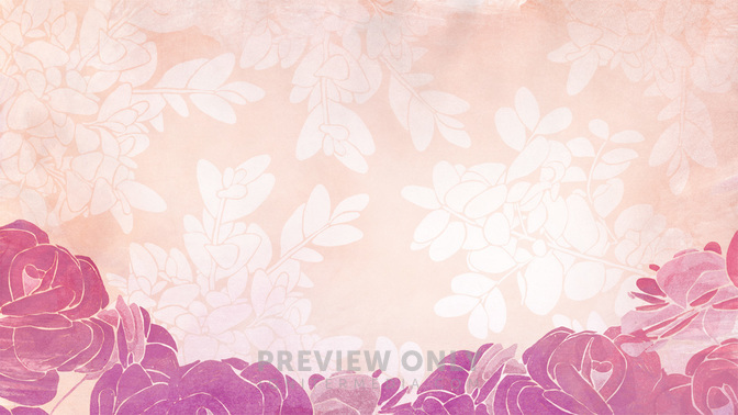 Roses_-_Pink_16x9.jpg