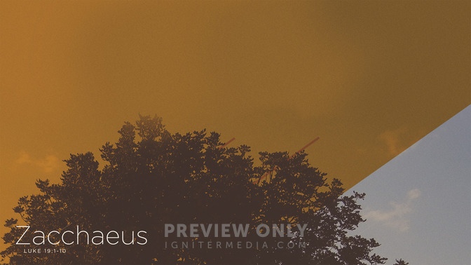 Zacchaeus_16x9-CONTENT-1#preset=tg_alt1.jpg