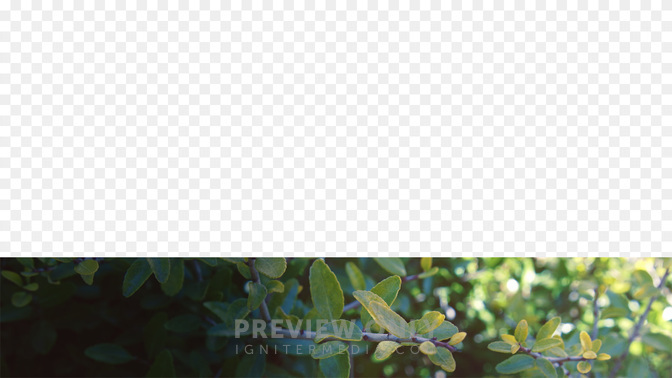 Goodbye-WIDE#preset=tg_transparent_png_preview.jpg