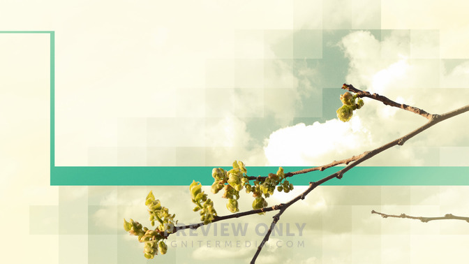All_Things_New_16x9-TITLE-3#preset=tg_title3.jpg