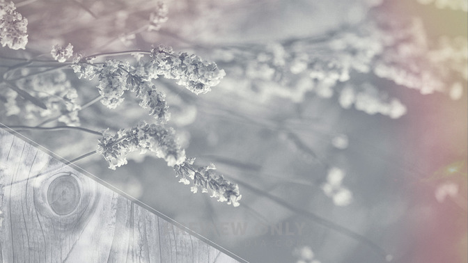 Rest_In_His_Love_16x9-CONTENT-3#preset=tg_alt3.jpg