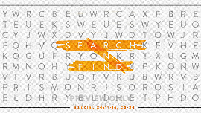 search and find