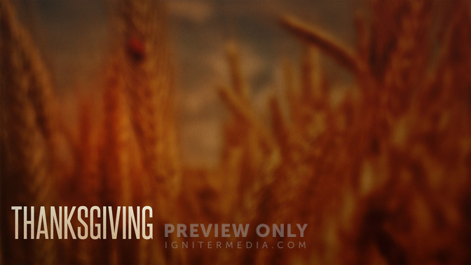 Thanksgiving_16x9-CONTENT-2#preset=tg_alt2.jpg