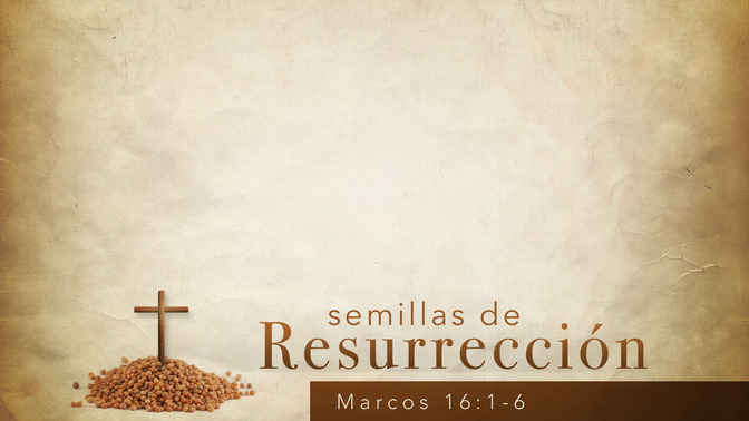 Semillas_de_Resurreccin_16x9-CONTENT-1#preset=tg_alt1.jpg