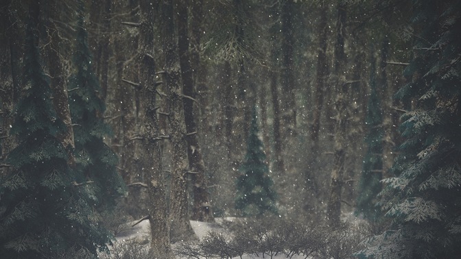 winter wonderland 5