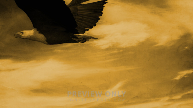 Under_The_Shadow_of_His_Wings_16x9-TITLE-3#preset=tg_title3.jpg