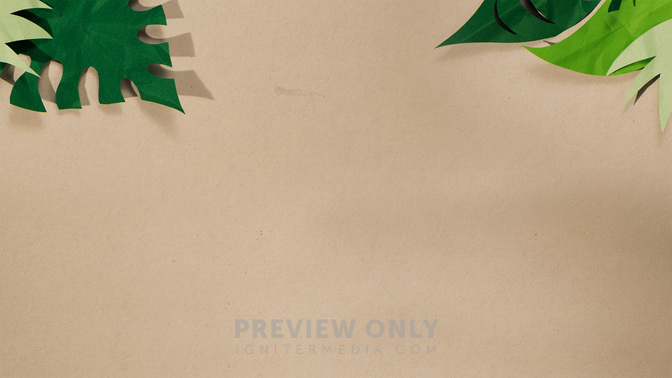 Palm_Sunday_WIDE-CONTENT-3#preset=tg_alt3.jpg