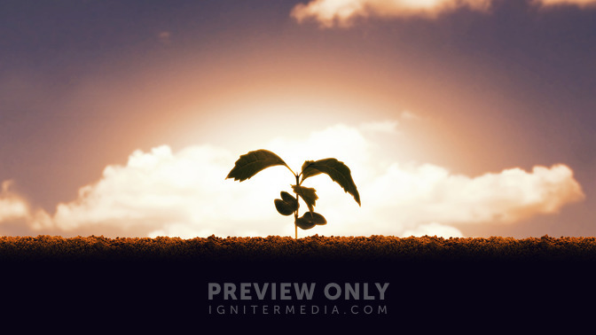 Alive_in_the_Spirit_16x9-TITLE-3#preset=tg_title3.jpg