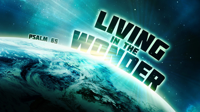living in the wonder
