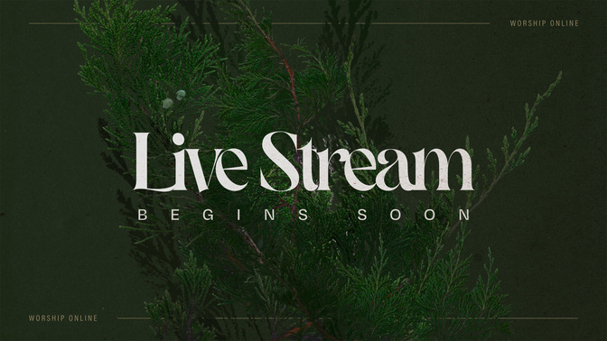 autumn nature - live stream begins soon