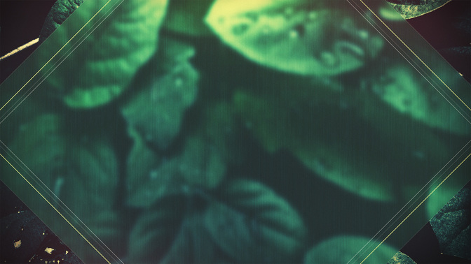 Spring_Dew-Follow_Us_WIDE-ALT-2#preset=tg_alt2.jpg