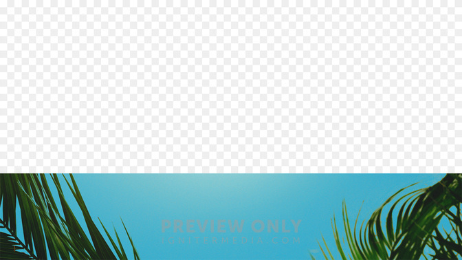 PalmSundayWelcome_WIDE#preset=tg_lower_third_preview.jpg