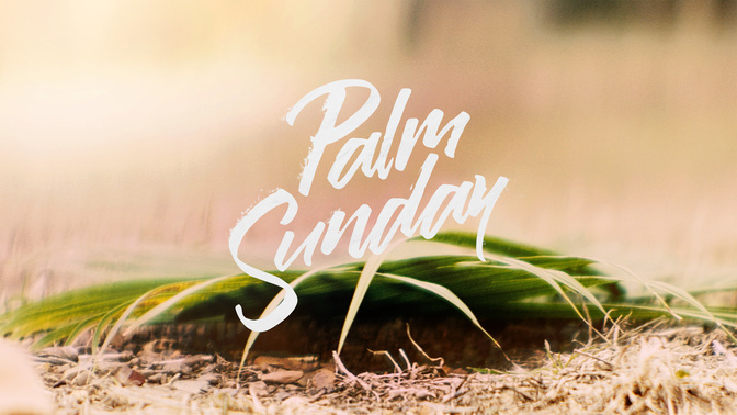 Palm-WIDE#preset=tg_title2.jpg