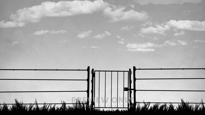 Miracle_at_your_Gate_16x9-TITLE-3#preset=tg_title3.jpg