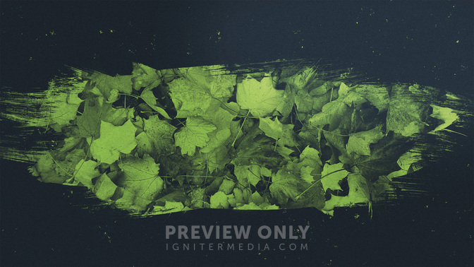 Brushed_Leaves-Offering_WIDE-TITLE-3#preset=tg_title3.jpg