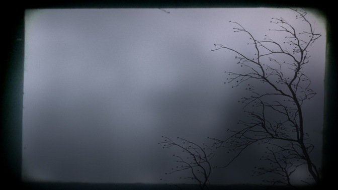 Branch_3_16x9.jpg