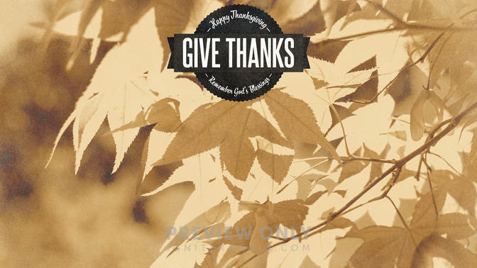 Golden_Harvest_-_Give_Thanks_16x9-CONTENT-1#preset=tg_alt1.jpg