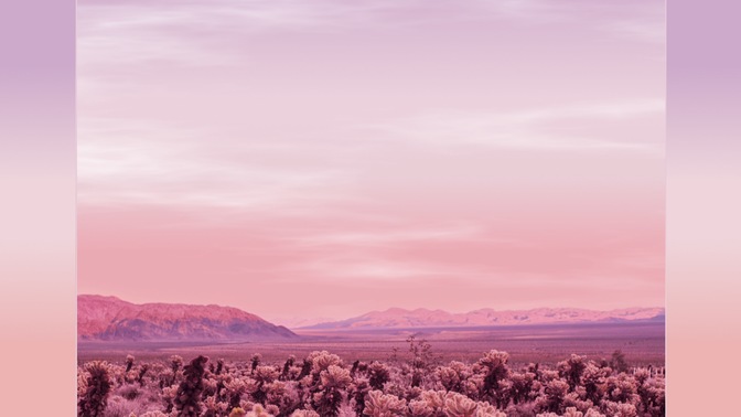 Desert_Pink_04_HD.jpg