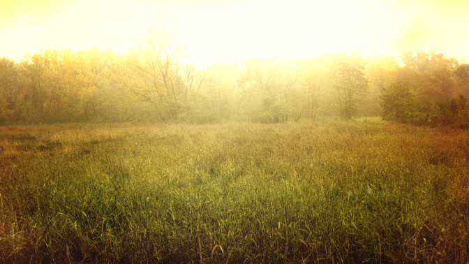 Fall_Twilight_Field_720_Preview.jpg