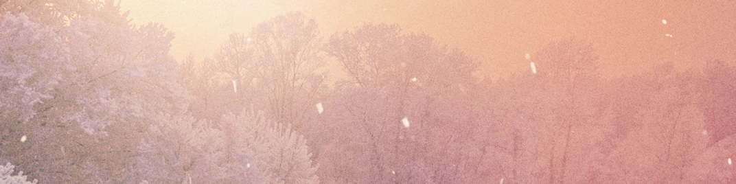 Scenic_Christmas_Field_MS_1920x480.jpg