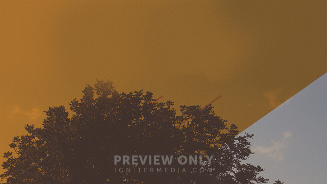 Zacchaeus_16x9-CONTENT-3#preset=tg_alt3.jpg