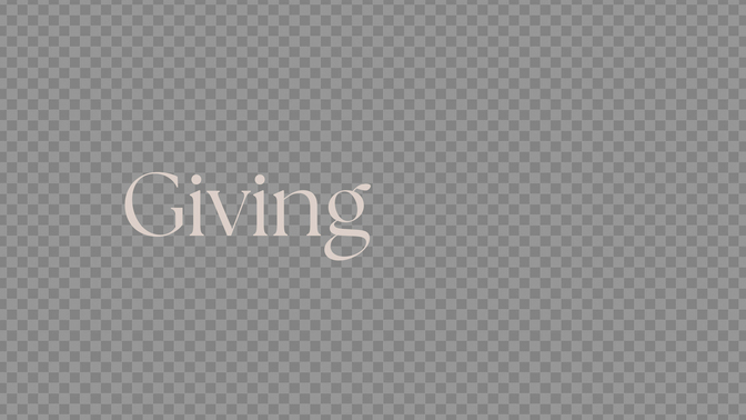 salt + light - giving