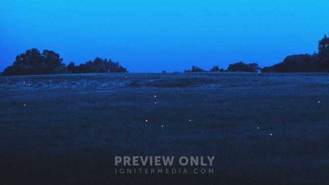 Fireflies_Hillside_HD.jpg