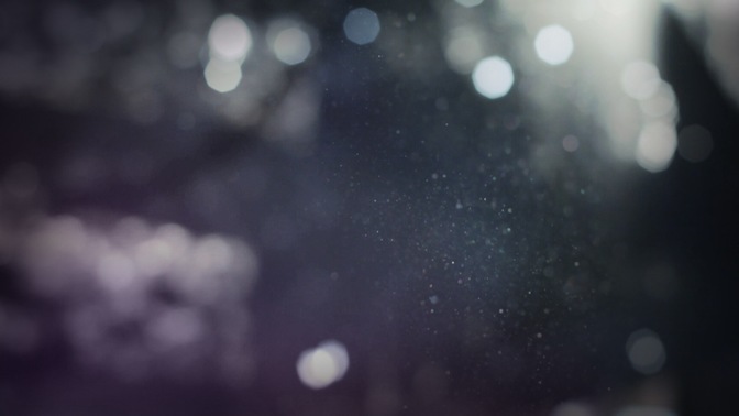 dusty light - purple