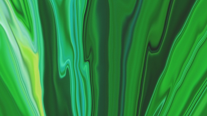 color flow - palms