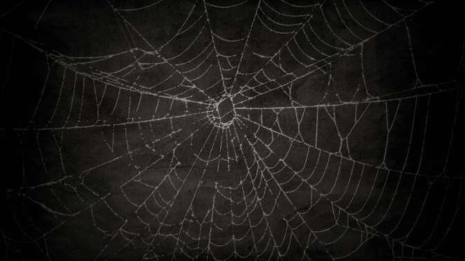 Web_of_Lies_16x9-BACKGROUND#preset=tg_bg.jpg