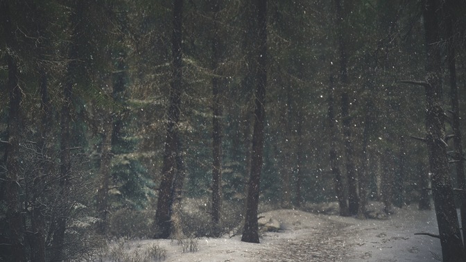 Winter_Wonderland_3_HD.jpg