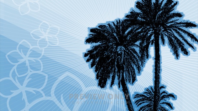Palm_Tree_Blue_1_16x9.jpg