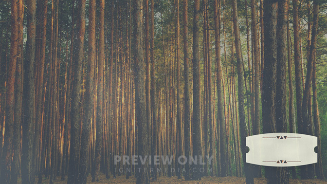 Forest_Morning_-_God_Bless_16x9-CONTENT-3#preset=tg_alt3.jpg