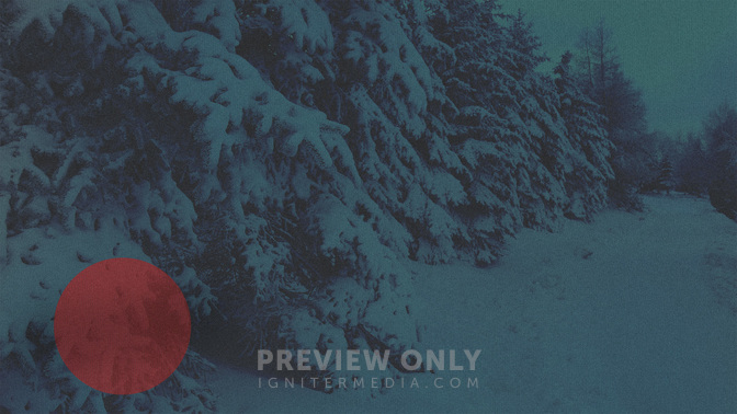 Christmas_Service_Times-Spanish-WIDE#preset=tg_alt3.jpg