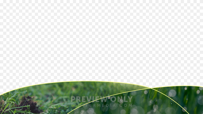 Sun_Wave_L3_TH_Summer_Outreach-New_WIDE#preset=tg_transparent_png_preview.jpg