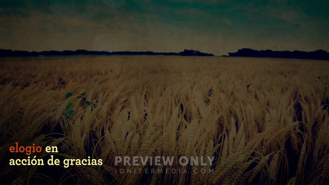 Elogio_en_Accin_de_Gracias_16x9-CONTENT-2#preset=tg_alt2.jpg