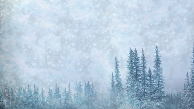 Snowy_Trees_16x9.jpg
