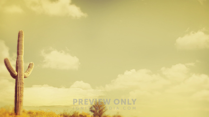 Prayers_in_the_Desert_16x9-CONTENT-3#preset=tg_alt3.jpg