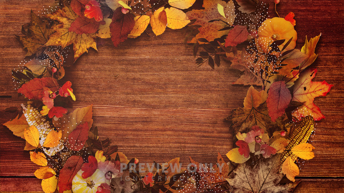 Harvest-WIDE#preset=tg_title3.jpg