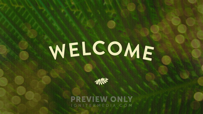 Palm_Bokeh_-_Welcome_16x9-TITLE-2#preset=tg_title2.jpg
