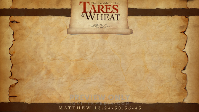 The_Parable_of_the_Tares__Wheat_16x9-CONTENT-1#preset=tg_alt1.jpg