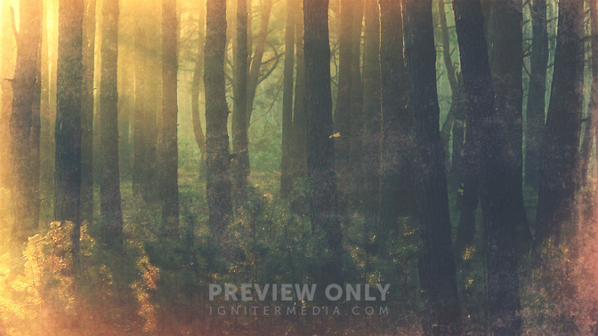 Revival-WIDE#preset=tg_title3.jpg
