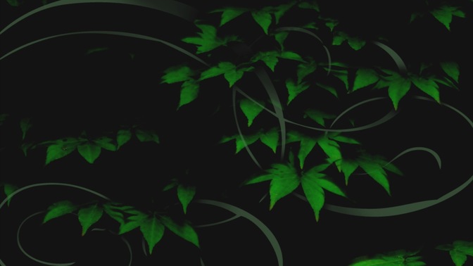 Plants_5_16x9.jpg