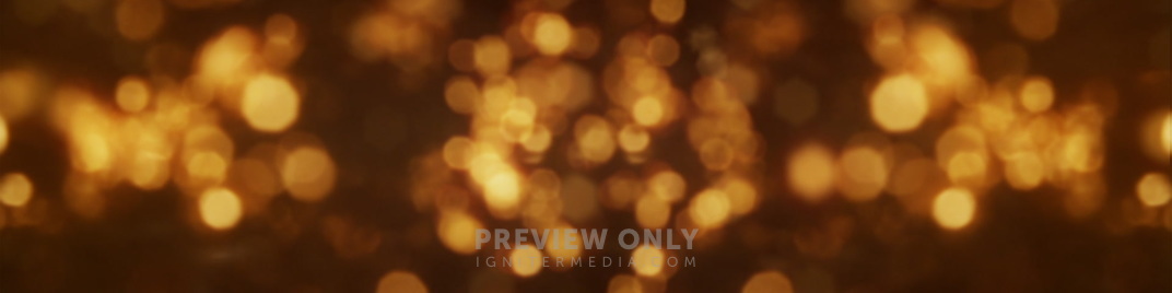 Bush_Bokeh_Gold_MS_1920x480.jpg