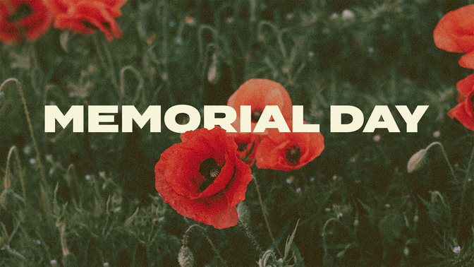 Field of Poppies_TT2_Title_WIDE#preset=tg_title2.jpg