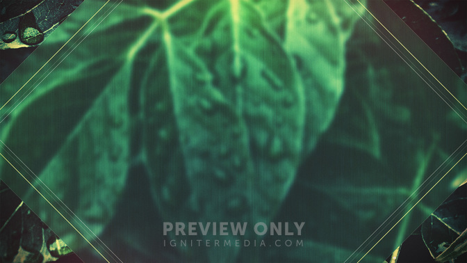 Spring_Dew-Welcome_WIDE-ALT-2#preset=tg_alt2.jpg