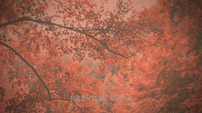 Fall_Retreat_WIDE-BACKGROUND#preset=tg_bg.jpg